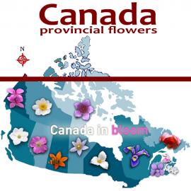 Canadas Provincial Flowers