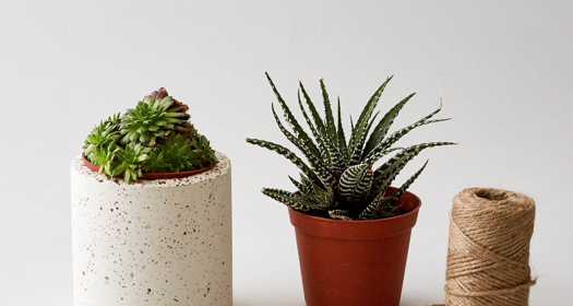 Pots