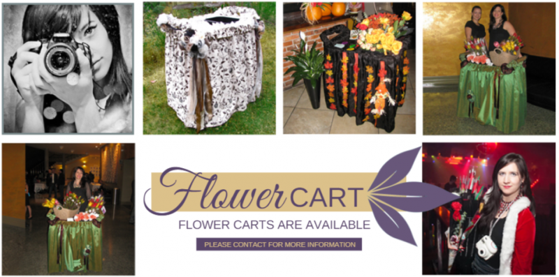 flowercarts2-132110.800.397
